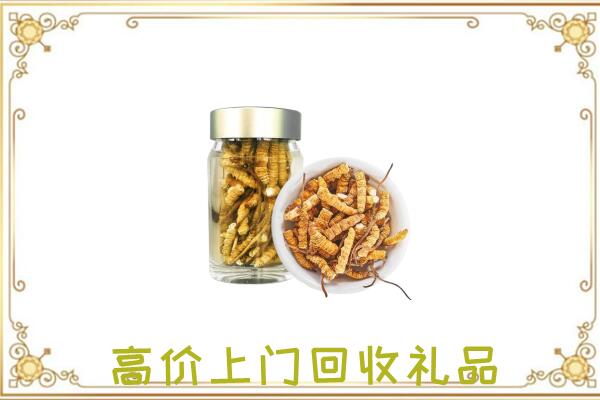 池州周边回收虫草